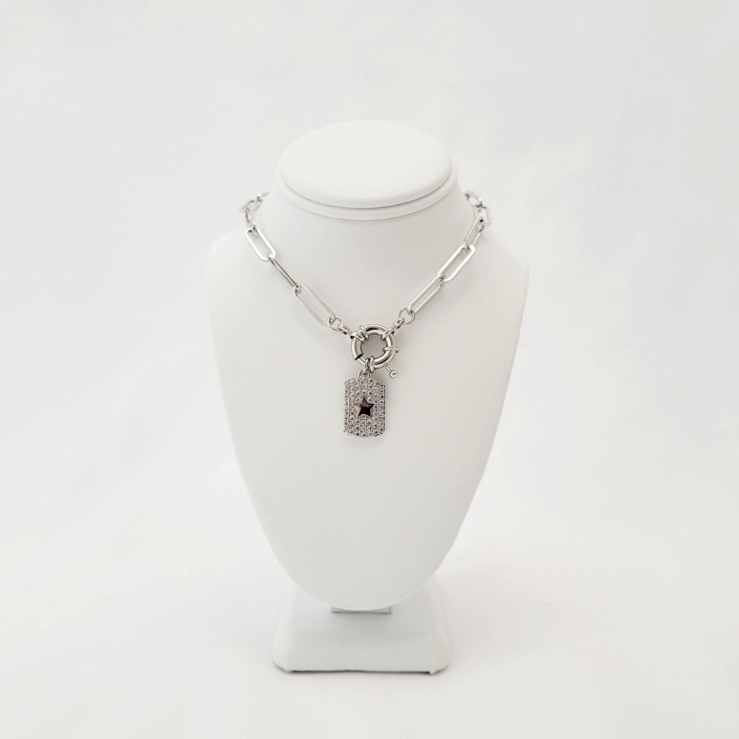 Silver Necklace With Dog Tag